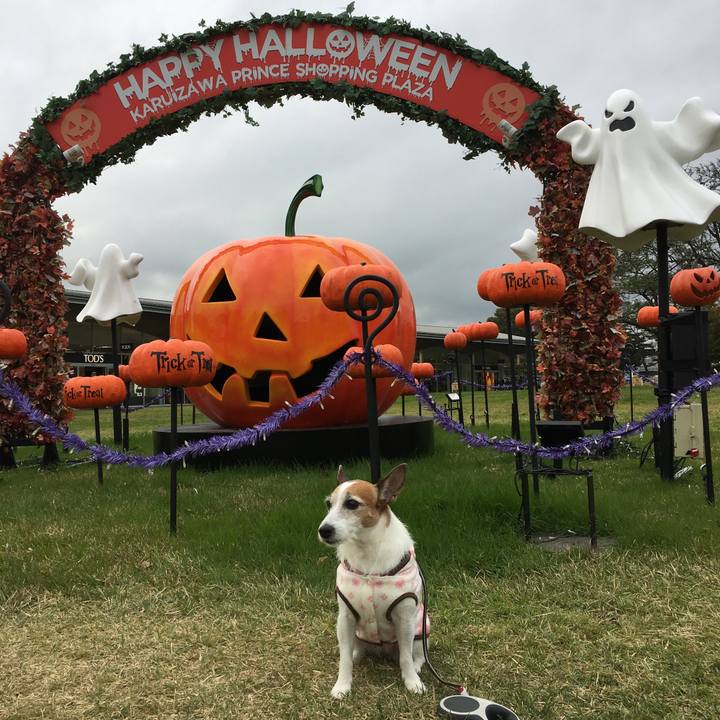 35bc3a45 9e47 4e66 8c7c 04e556b83972 1635551514811