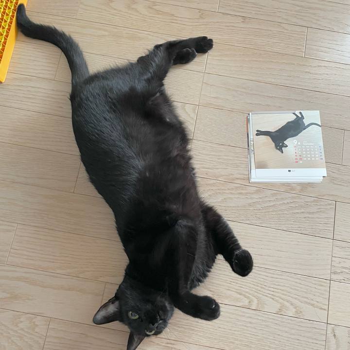 35bc421e 5732 4c68 9b50 1360e6b311fa 1727594658236