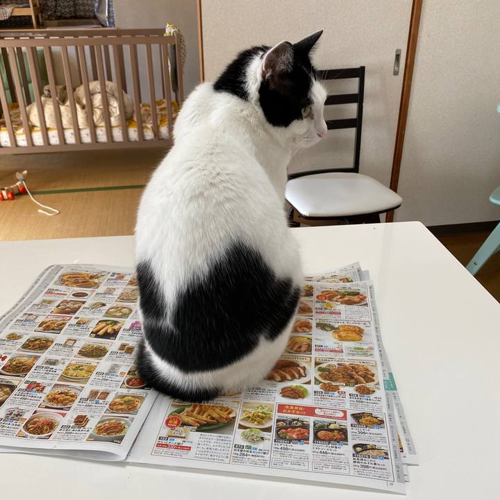 35bc4af5 93cc 4db1 94dc 88a2a32f7c91 1639190305886