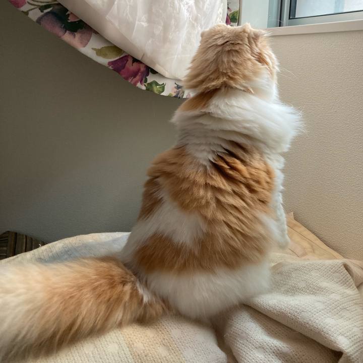 35bc7ecf 73a7 4d4c b386 923d71e3fbc1 1693140023895