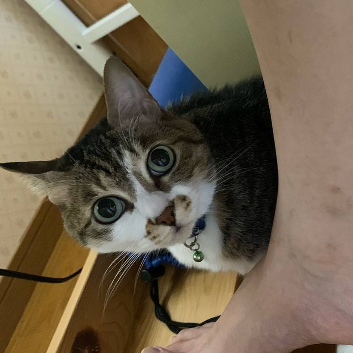 35bcae03 0e0b 42eb b1f1 5e80cc791557 1622753957046