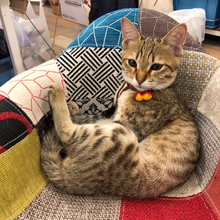 35bcbcb5 275b 417c a78d 8b1bee1d3ec3 1579852656632