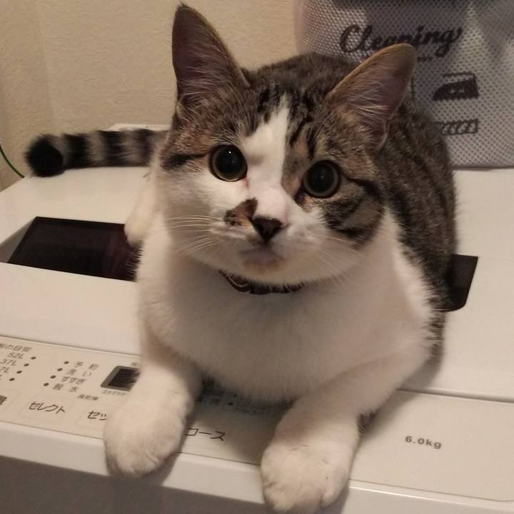 35bcd745 0869 427d 9844 cecdc689a54c 1619046751540