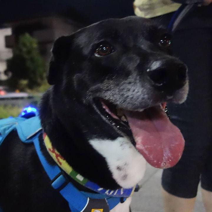 35bce1ad eacd 4411 8b84 9808d6d2d2d8 1693393944257