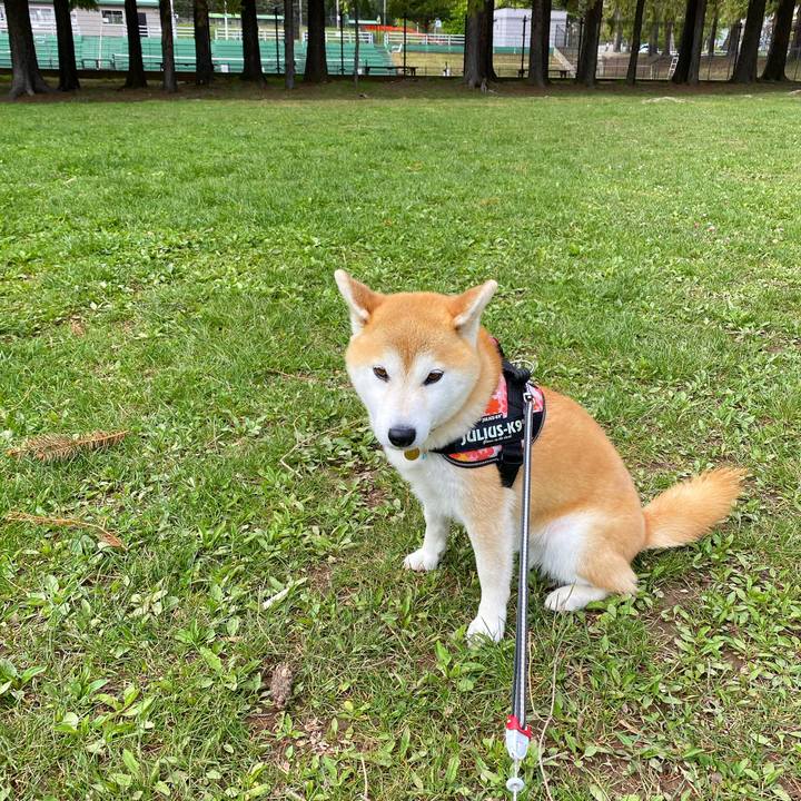 35bce463 501f 4dd7 9549 d5819213a64a 1620867032098