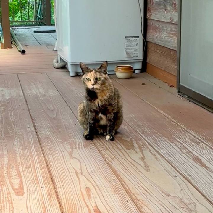 35bd068c 705b 440e 9c4a 0346934b4773 1748661525369