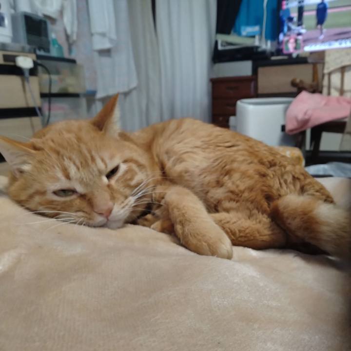 35bd0fc2 8c0b 4c03 bd5f 358a9c43284b 1707695163983