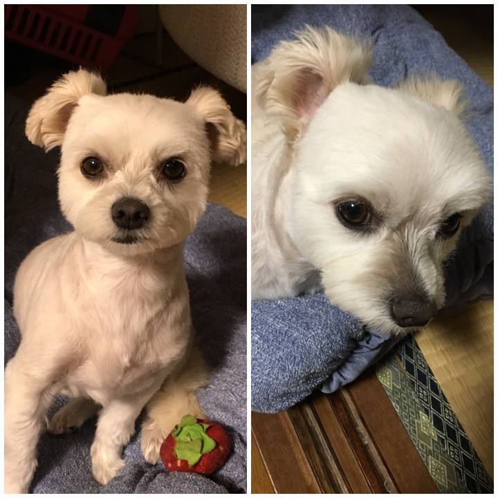 35bd121a f95b 42a2 8937 3329efc6ff66 1537411263186