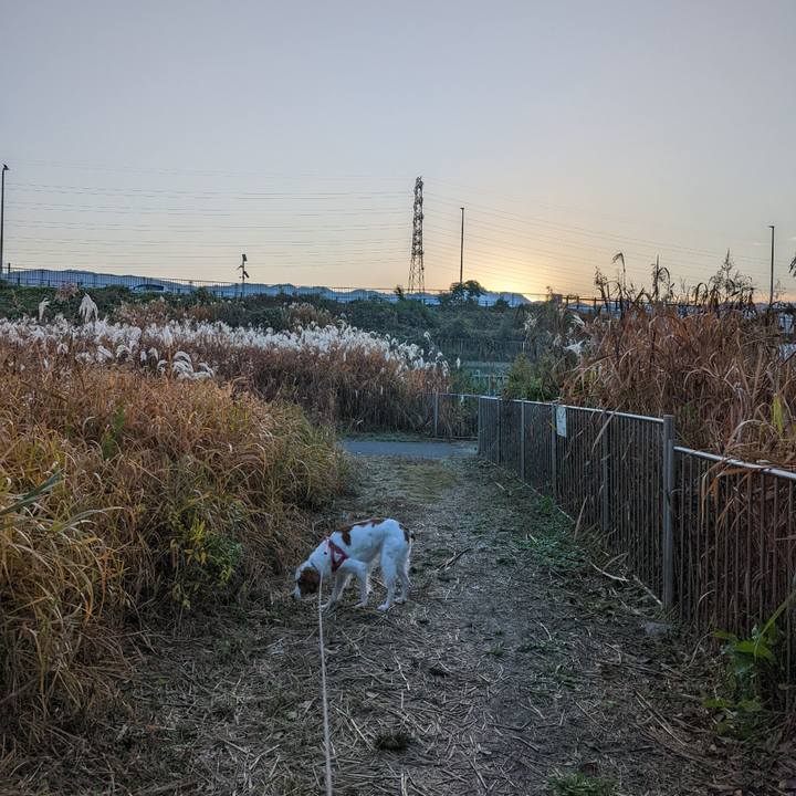 35bd3fae 21b0 4149 ab0f 58659c2b784a 1637310489848