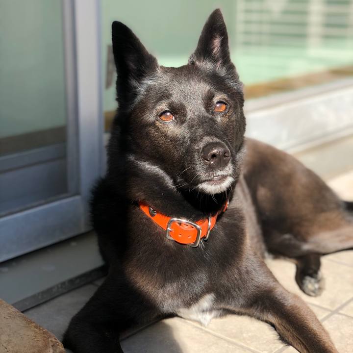 35bd4dd0 49a8 4d87 95cf bbf6e5ccfe19 1606531402381