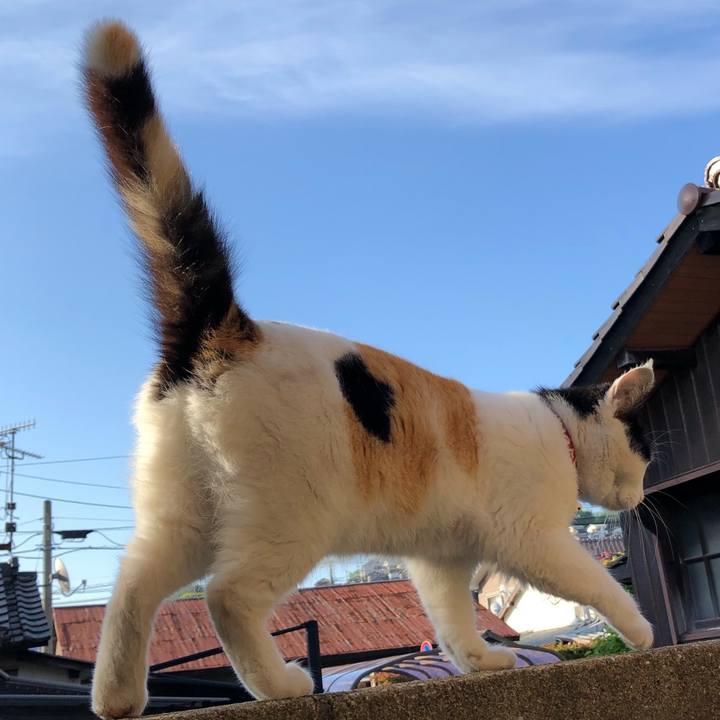 35bdaf2d 245c 4b41 8366 6acecde153fa 1652360573513