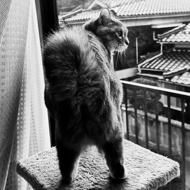 35bdcc00 0d73 47cf 9be3 154ba7881be8 1581405929938