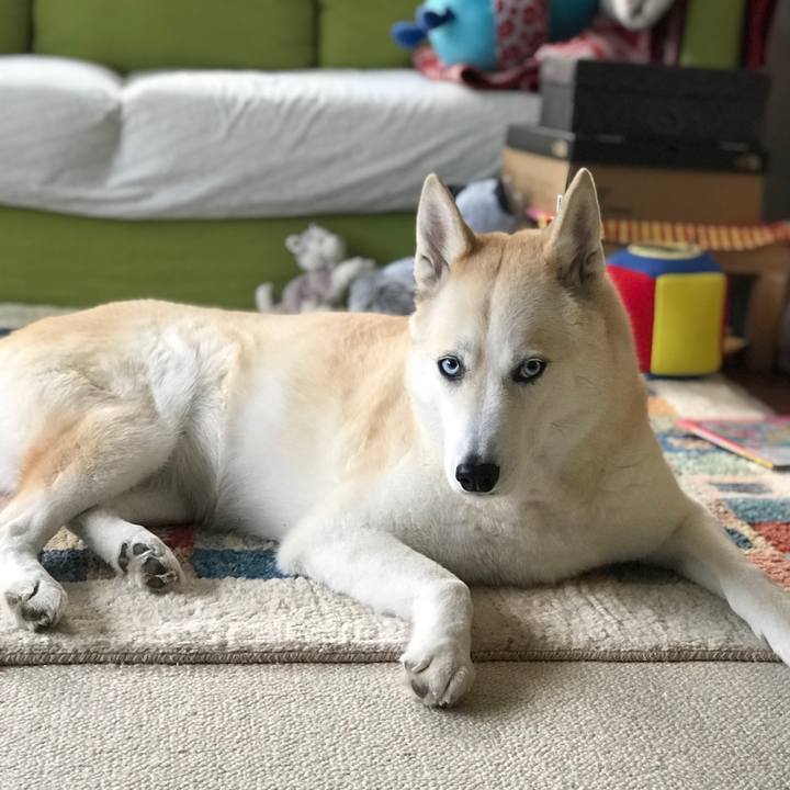 35be28b9 e3d2 4094 9980 2122fdd05d5e 1640255007467