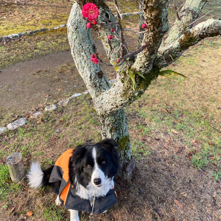 35be5108 24b5 4b49 a2e3 e1f6aa79b243 1612656914076