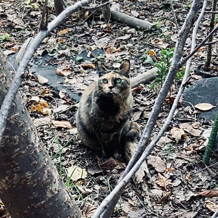 35be65aa 82be 4a2c a287 0ffea22a5973 1733541820415