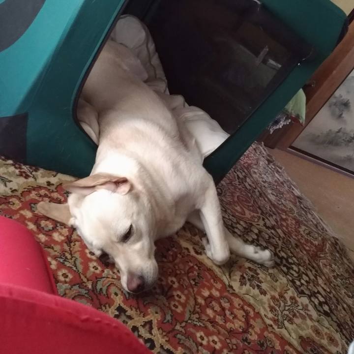 35be6c61 c5a8 4680 a14f 735b201b292f 1531874677086