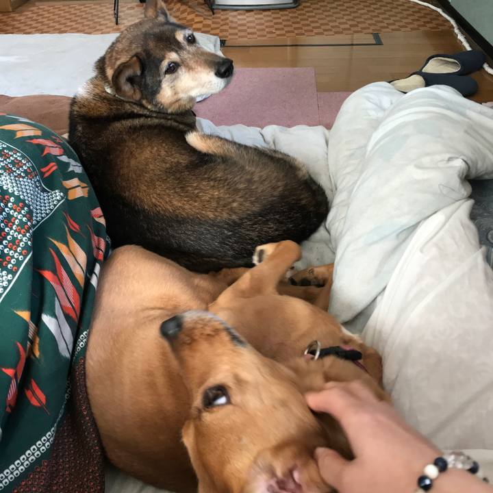 35be7e94 cbee 48f6 8e82 1996c0d47181 1518384497127