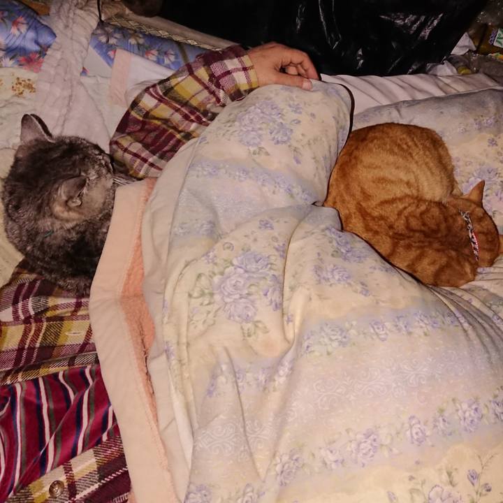 35bec09d 21da 4d67 b578 9b9ec3eadb27 1576269565069