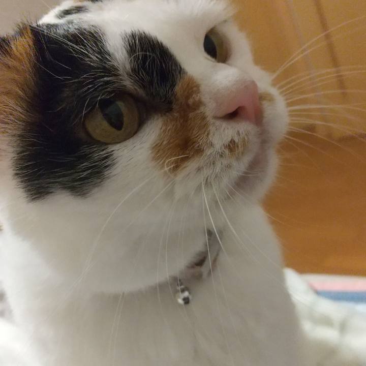 35bed673 979c 4f48 b8a3 61256d1029c0 1664975678667