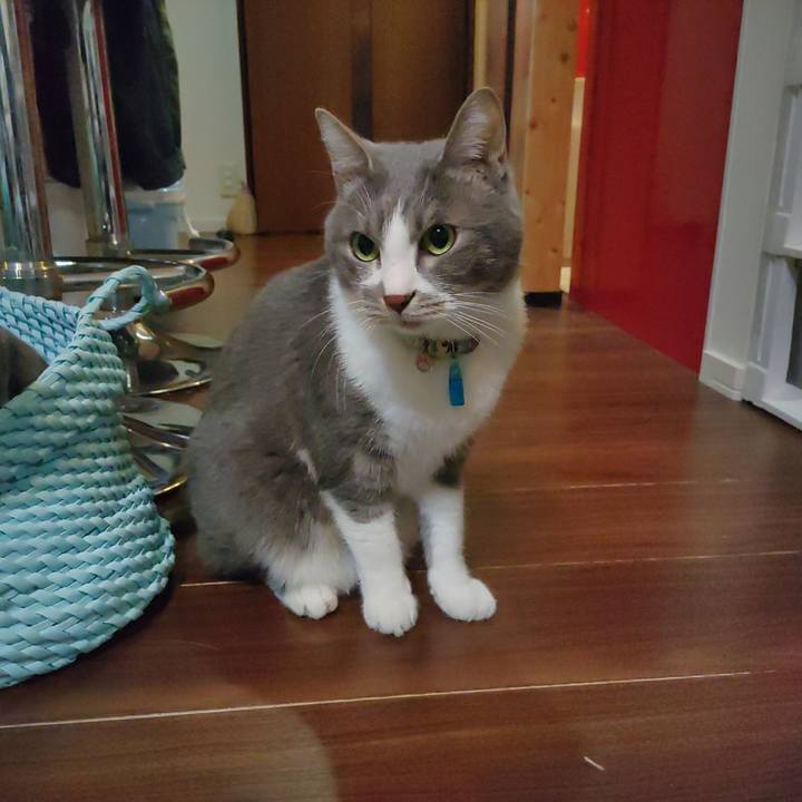 35bed8d6 a299 4c59 ad16 3c9d3cbc335c 1706229667670