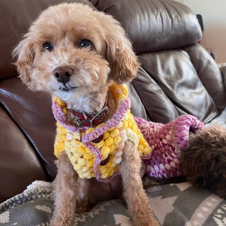 35bf3032 5950 485a afeb ffc987a3c858 1602434836534