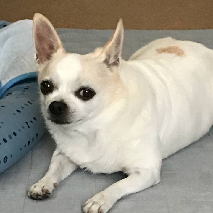 35bf5971 a088 425d 80f7 e44a1e567c0f 1535464437733