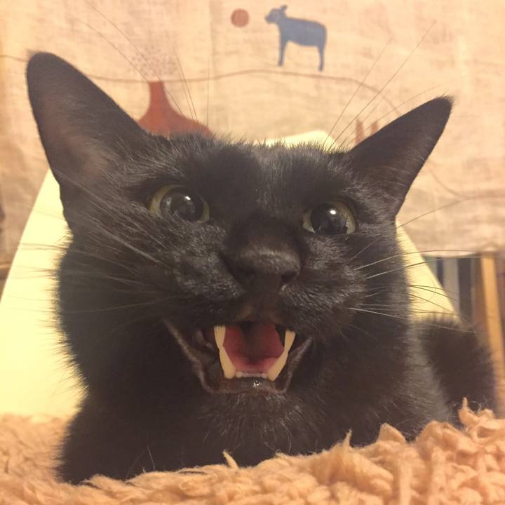 35bfaddf 5ac9 470c af73 9f8584a4405d 1509974105941