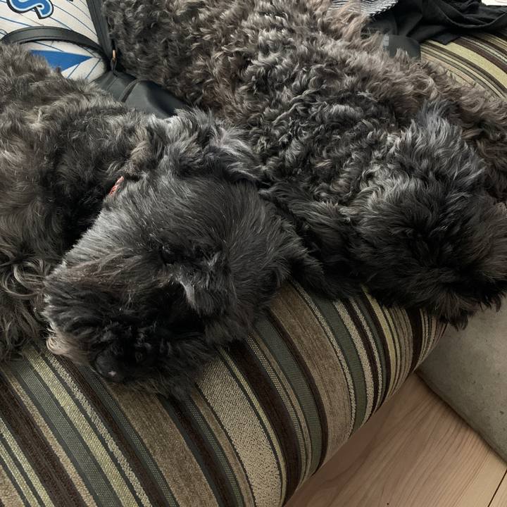 35c03f05 717f 4dd5 a7e4 792f47ae964d 1601432124626