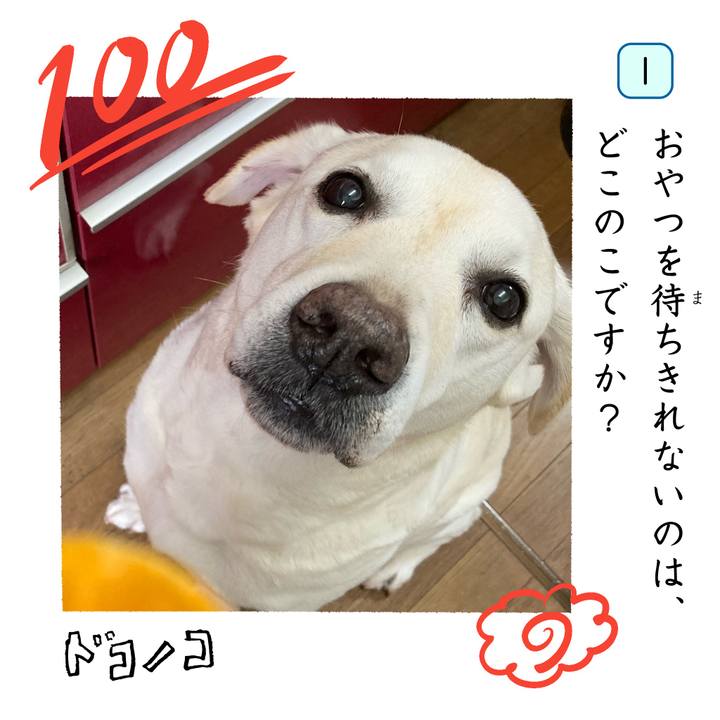 35c07a6d 2134 4392 862d af3cf23a6357 1744802225549