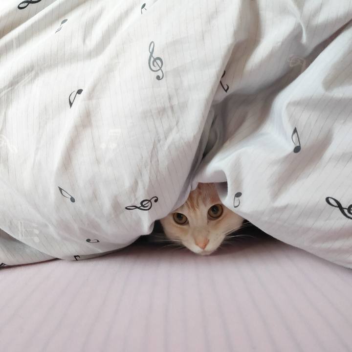 35c08589 5b36 4590 a40c 1045196c60a3 1669329232087