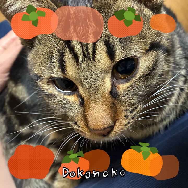 35c090f0 b552 46ae 96d4 f2b43f62e8d8 1761301608340