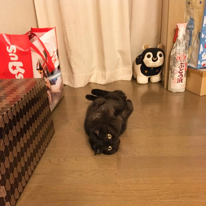 35c09bab 54b1 42d7 b42e 990e2b672d94 1510678957144