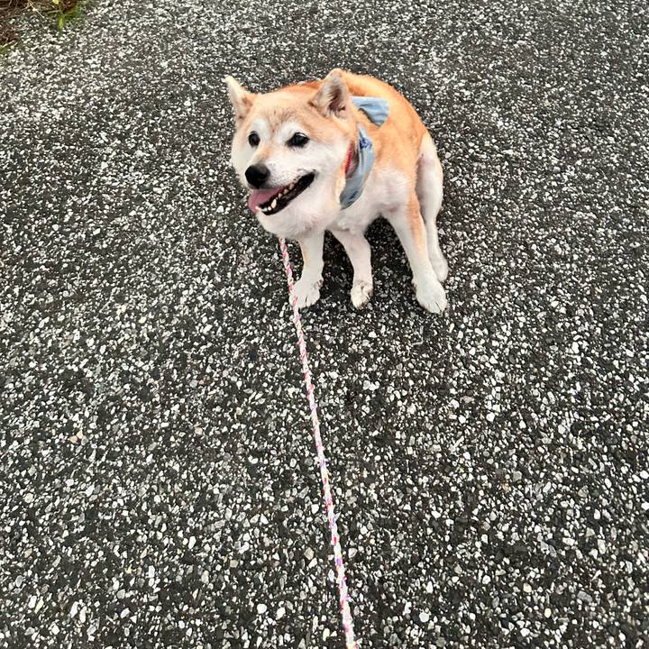 35c0c066 47de 479b b909 7853a86e516d 1751971899531