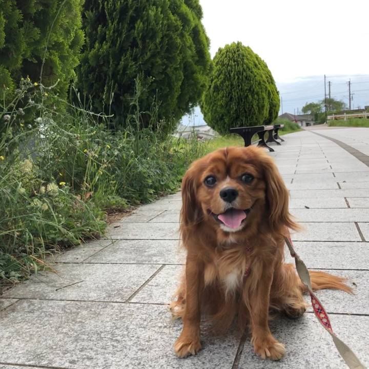 35c0cd6c 8e82 4ab7 b859 cf8ec951c6a9 1588986548385