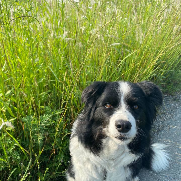 35c0e469 3c79 41d6 910b 2da3f6c16c70 1590535333224