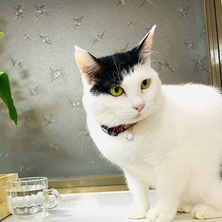 35c0e595 b364 400e bb3a 98c820205d5d 1669729843108