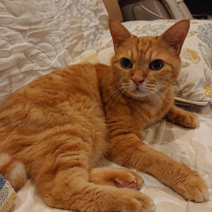 35c0f924 0339 443a b901 587b50f83e9f 1661170695437