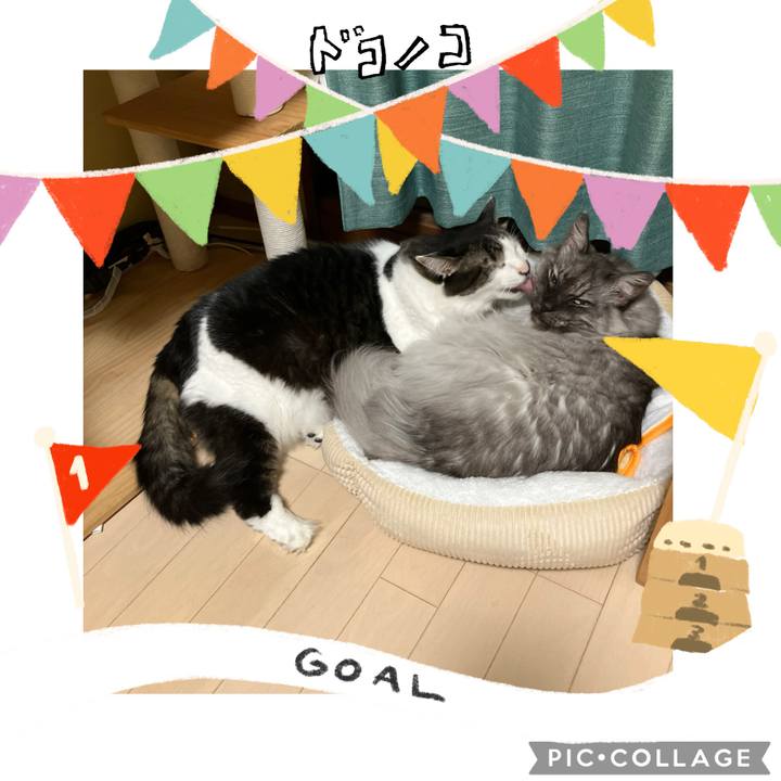 35c103f9 3528 4665 aafd 62c2b21a798f 1730017968241