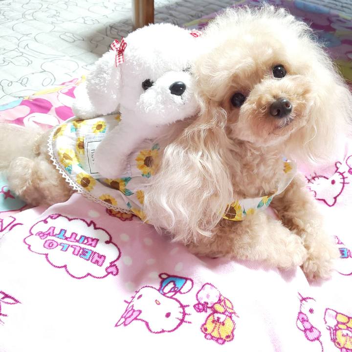 35c11b98 1c95 4399 9b96 9cd36c0b0f70 1566651099063