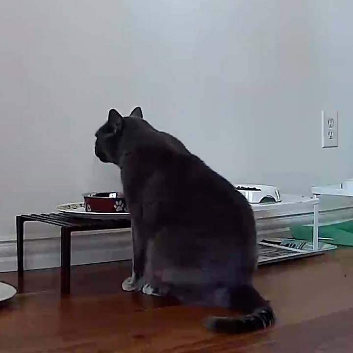 35c12d64 77e3 49b3 a891 87a833145d43 1769549453732