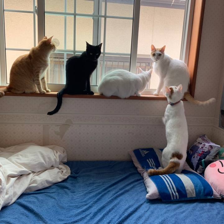 35c13fd2 2b78 42c6 b841 e0c2d5397c04 1558224492302