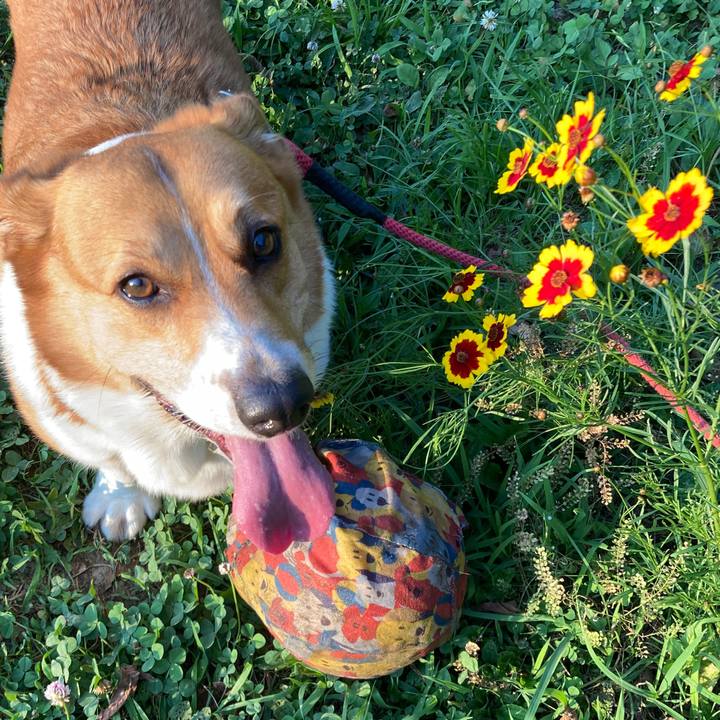 35c14753 0fd2 4295 8a36 937a800fdb1f 1751332859417