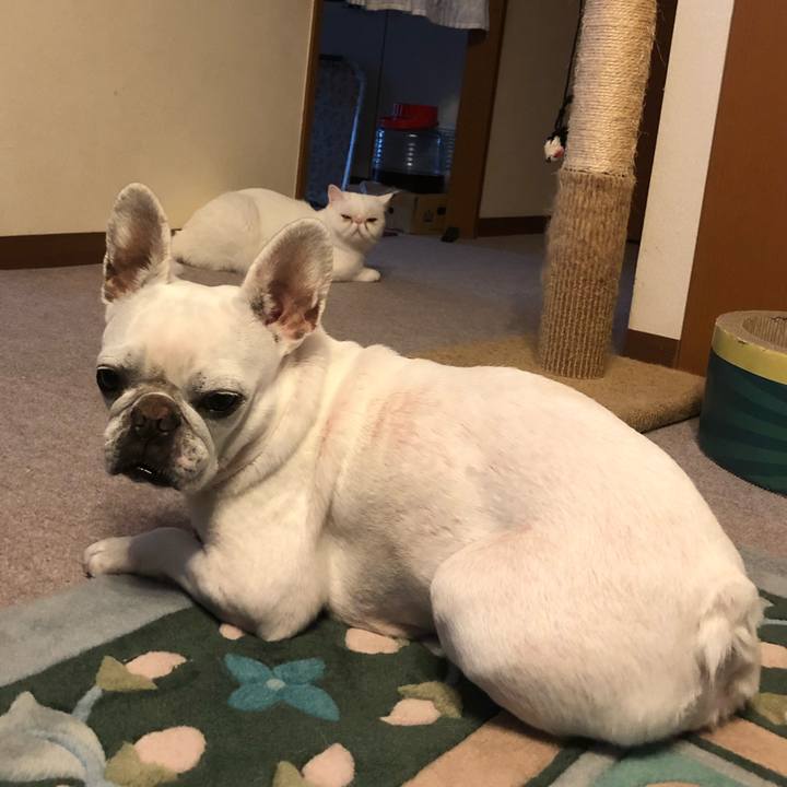 35c150e8 2820 4f61 9dd2 b41b247e6524 1623570372130