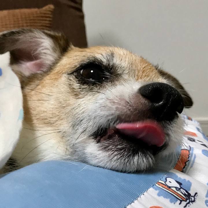 35c15363 2fe8 4f5b a740 7121b06b84b5 1598536838490