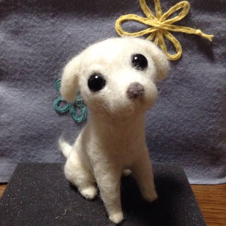 35c169ad 8793 4ca3 8d2f a06361fc41a1 1517644847384