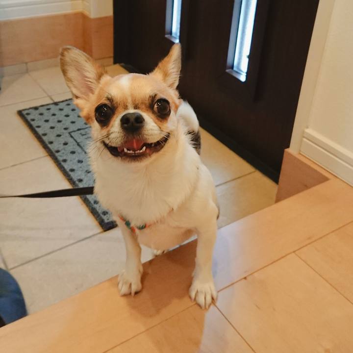 35c173b9 ee28 408c ab09 66fc448c3f29 1594543502336