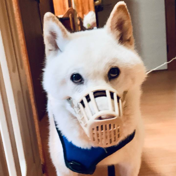 35c175d6 f7ea 432a a48a 40676548c6f4 1621716038115