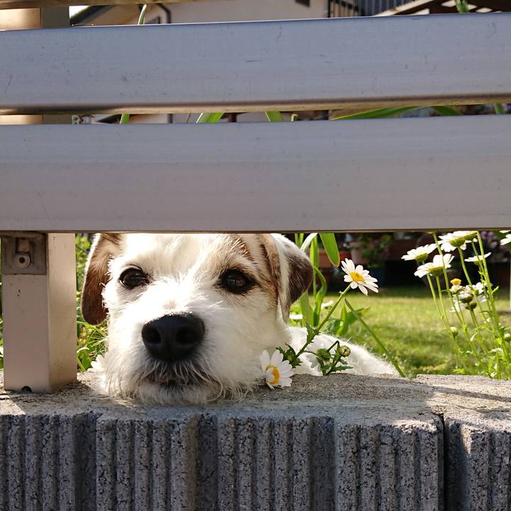 35c1a156 c3a0 48fa a975 6a6deb844da9 1526426225296