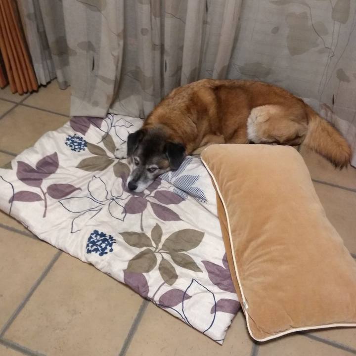 35c1a67d 1568 447e 9941 ed9dae85b8e4 1561728554465