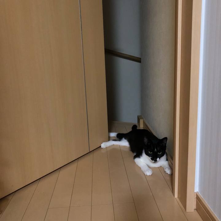 35c1d165 daaa 493c b7d8 0c6c461a94ce 1532897728570